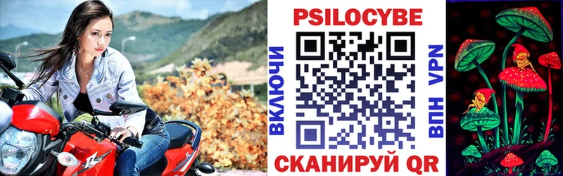 Галлюциногенные грибы прущие грибы  Купить где  Комсомольск-на-Амуре 